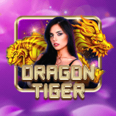 fbmplay live casino Dragon Tiger icon